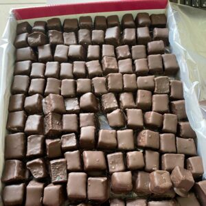 BİTTER KAYISI ÇİKOLATASI