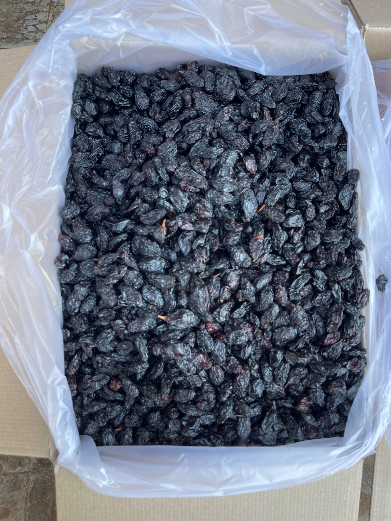 Toptan Kilis Karası Üzüm
