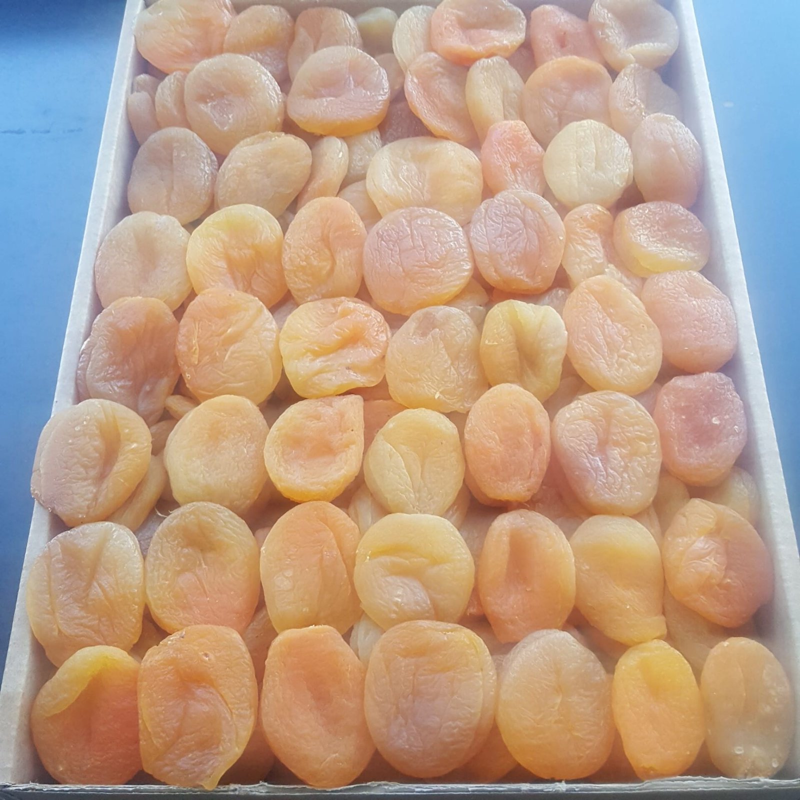 Toptan Jumbo Kayısı Ekonomik