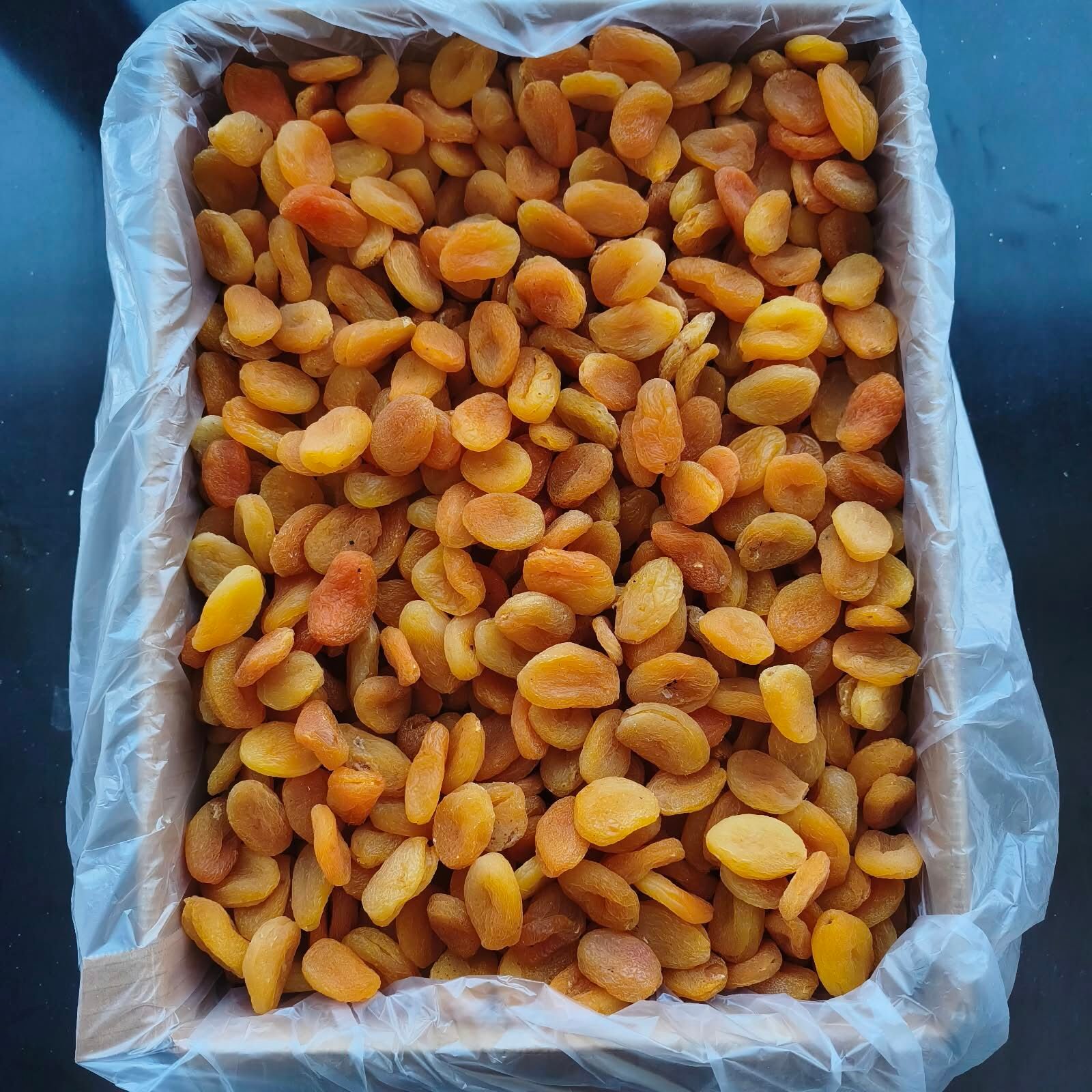 Toptan Lüks Sarı Orta Boy Kayısı